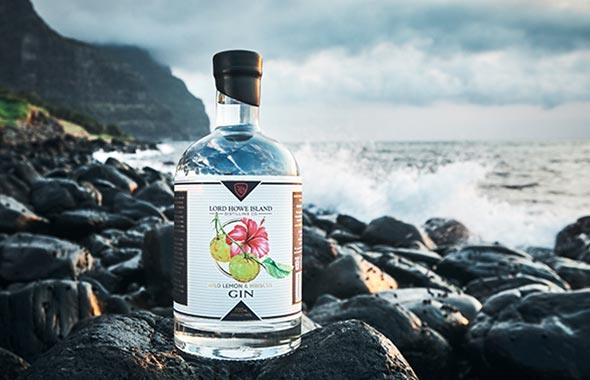 5 Local gin