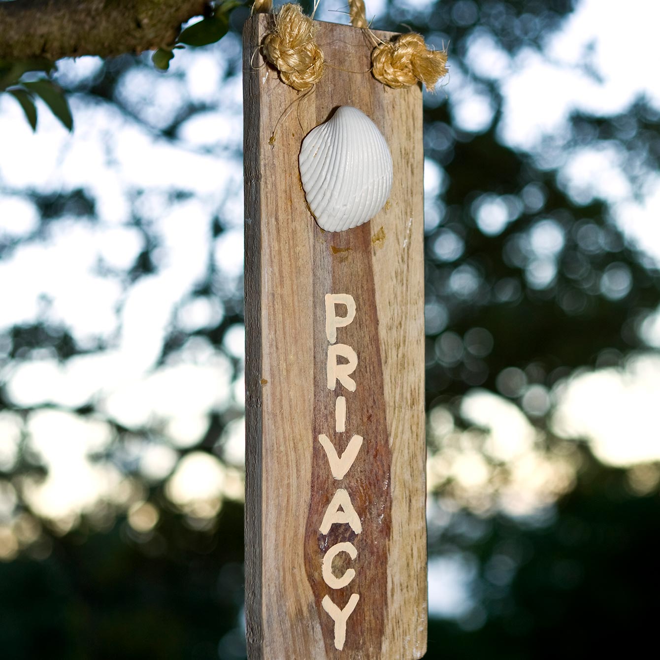 Cameo Privacy 4