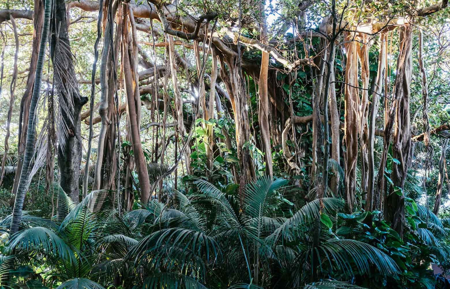 Stevens Reserve